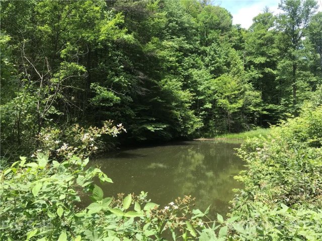 520 Happy Acres Road sold home in Happy Acres, Brevard, NC