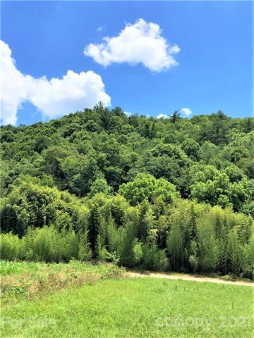 Lot 3 Water Wheel Cove sold home in Panther Creek Estates, Clyde, NC