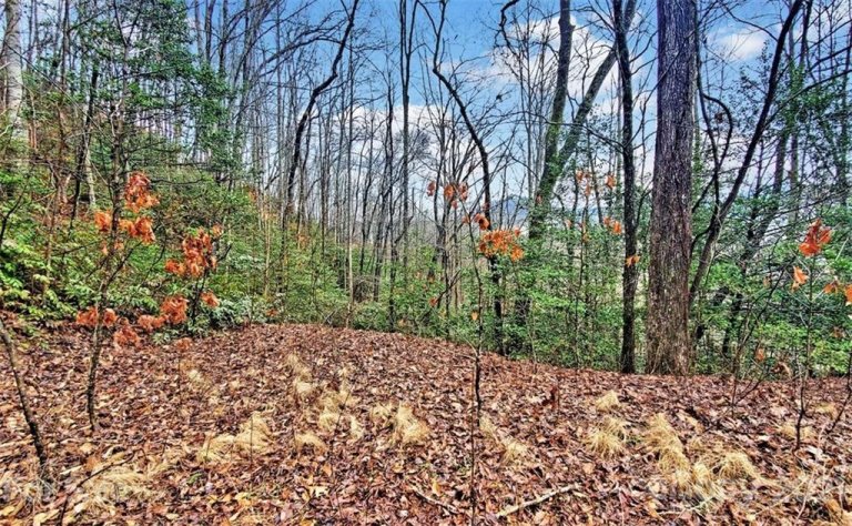 361 Little Bit Trail sold home in High Top Mountain, Whittier, NC