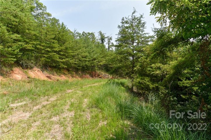 Lot 9 The Vines Boulevard active home in The Vines, Marshall, NC
