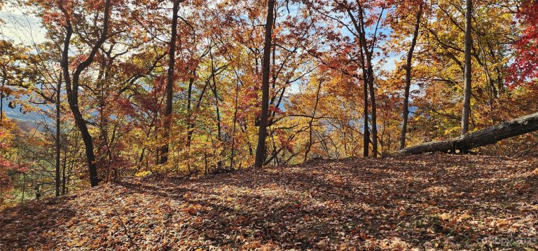 Lot 19b Lono Lane 19B sold home in Countryside Acres, Waynesville, NC
