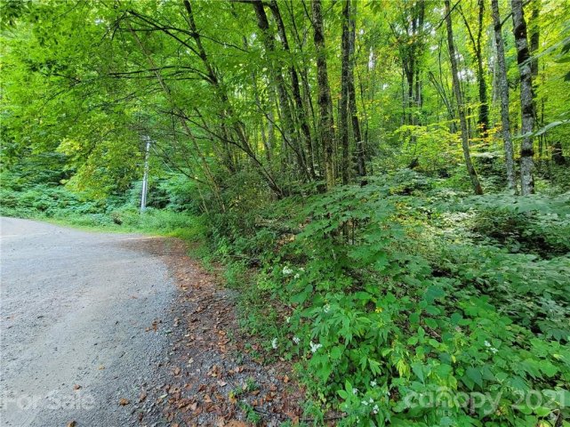 14 Big Laurel Road sold home in Big Laurel Inc, Waynesville, NC