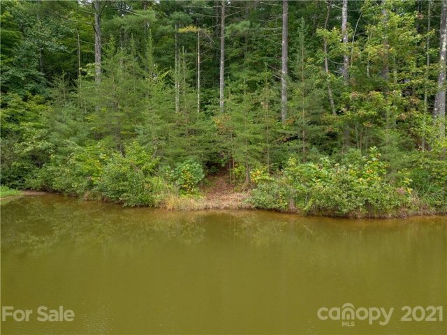 Lot 14 Cherry Birch Lane sold home in Whites Lake, Saluda, NC