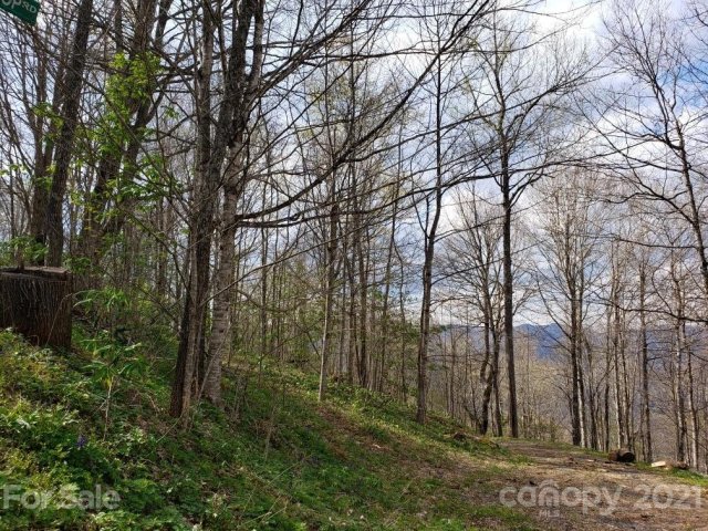 Lots 64 65 Locust Gap Road 64-65/45-46 sold home in Bear Ridge, Bakersville, NC