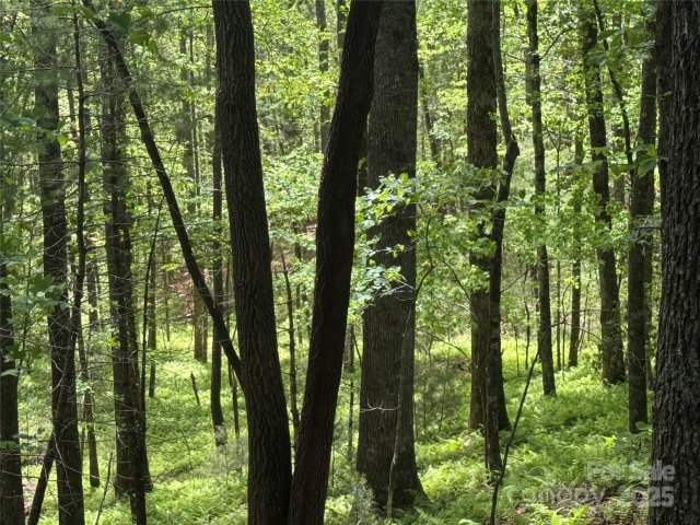 Homes in Idlewild, Cedar Mountain