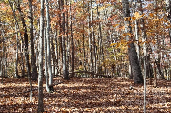 0 Wilderness Ridge sold home in Maple Creek, Rutherfordton, NC