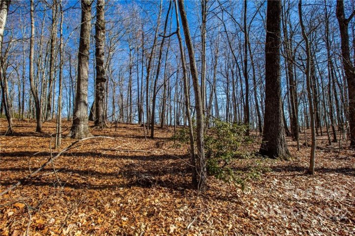 99999 Burnt Ridge Trail sold home in High Rock Acres, Black Mountain, NC