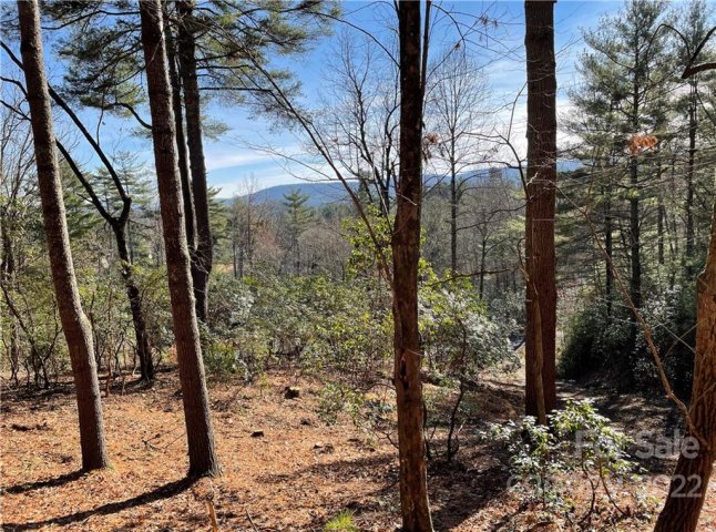 Lot 57 Winterberry Drive sold home in The Wilson Farm, Hendersonville, NC