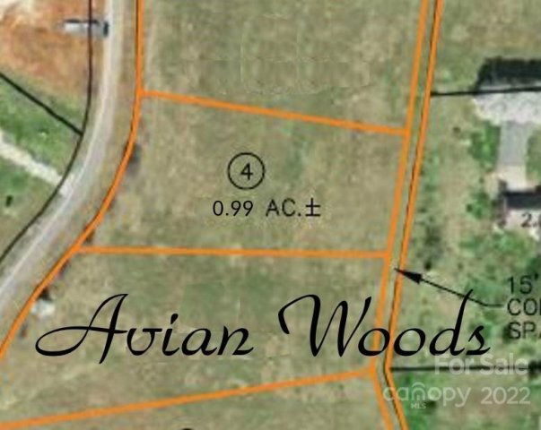 1033 Harper Lee Drive 4 sold home in Avian Woods, Newton, NC