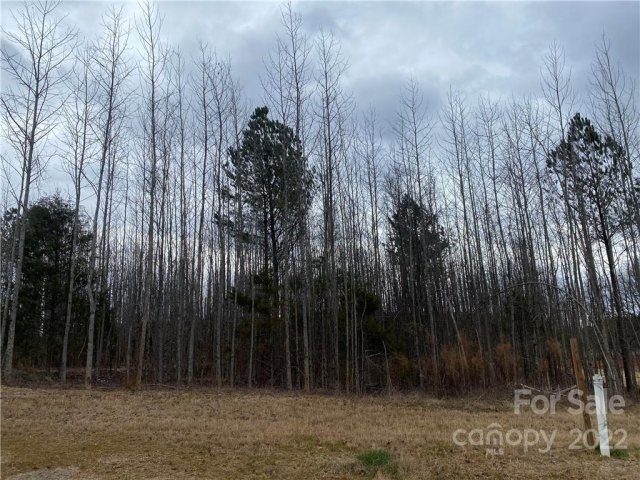 3085 Brayland Avenue sold home in Weddington Acres, Matthews, NC