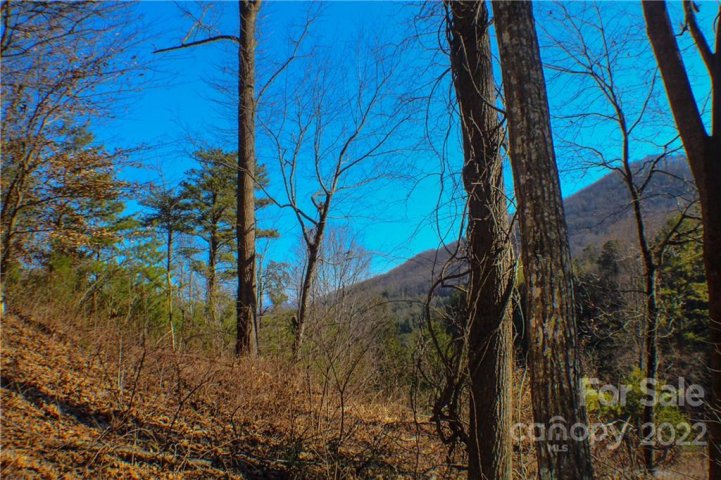 70 Mountain Magnolia Drive 50 sold home in Moores Valley, Leicester, NC