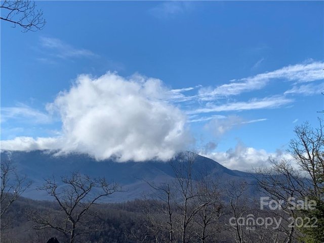 000 Alderfly Court 98 sold home in Mountain Brook Estates, Spruce Pine, NC