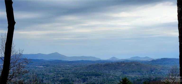 9999 Gateway Drive 1 sold home in Pathways Of Solomon, Hendersonville, NC