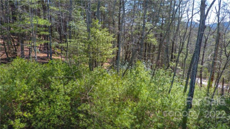 99900 Trellem Trail 10 sold home in Awenasa Hills, Hendersonville, NC