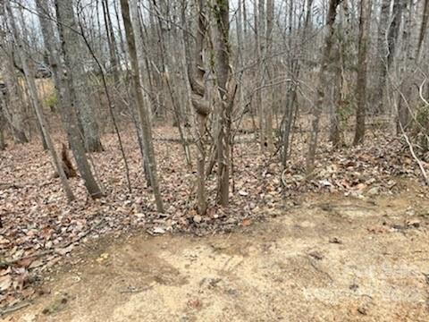 1251 Harbin Court 30 sold home in Mountain Meadows, Bessemer City, NC