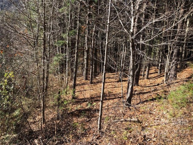 47 Tallwood Road 10 sold home in Moores Valley, Leicester, NC