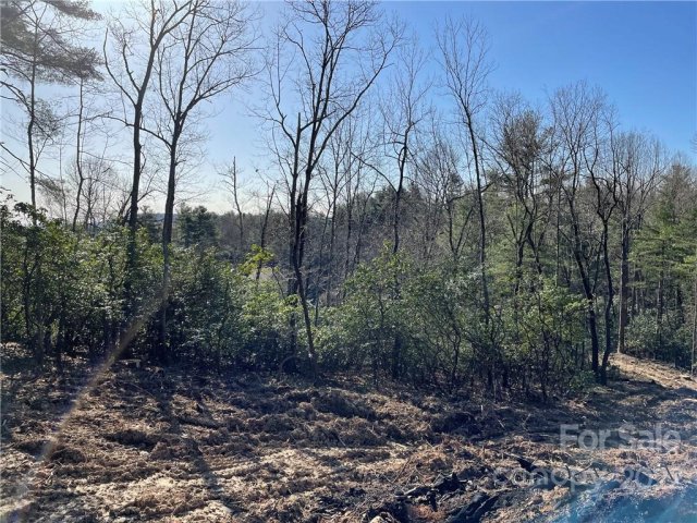 Lot 54 Winterberry Drive sold home in The Wilson Farm, Hendersonville, NC