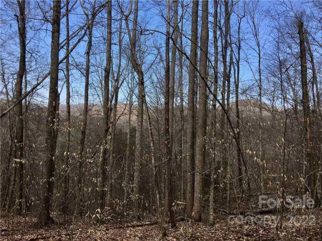 Homes in Trillium, Mars Hill