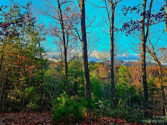 Lot 31 Peaks Drive sold home in The Peaks at Lake Lure, Lake Lure, NC