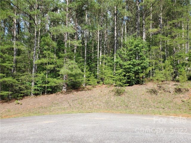 0 Sunset Drive 15 & 16 sold home in Hillcrest, Mill Spring, NC