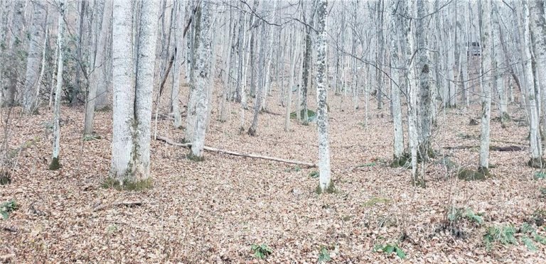 00 The High Road sold home in Walker-In-The-Hills, Waynesville, NC
