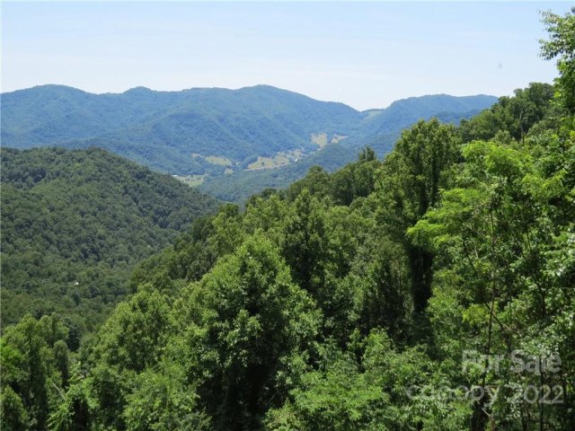 492 Freemont Drive 77 active home in Whisper Mountain, Leicester, NC