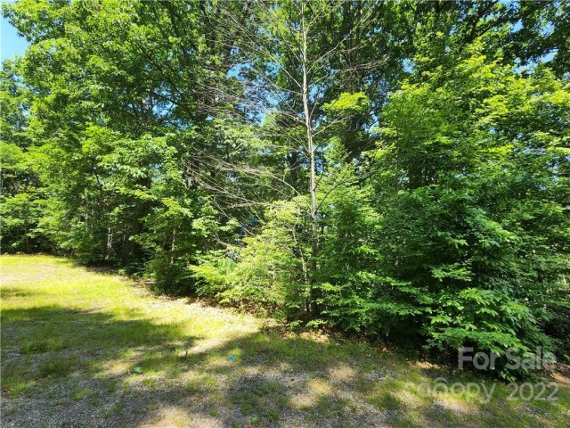 00 Promiseland Road sold home in Dream Mountain, Canton, NC