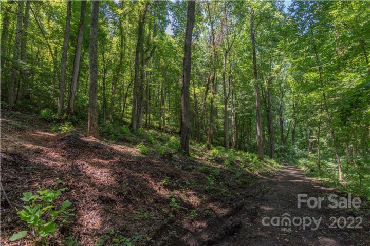Land Off Renee Trace sold home in Pinnacle Ridge, Waynesville, NC
