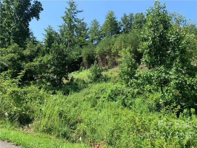99999 New Stock Road sold home in Hawks Cove, Weaverville, NC