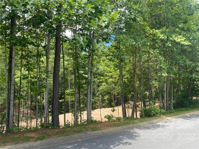 V L 61 Waterglyn Way sold home in Waterglyn, Nebo, NC