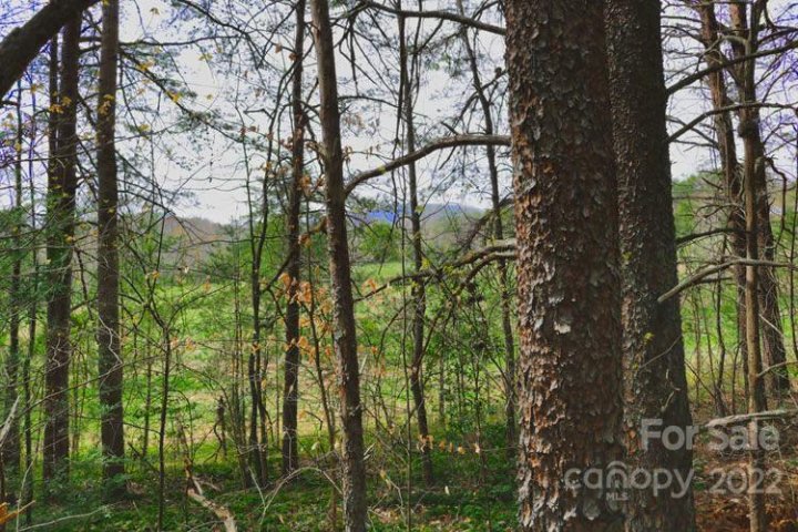0 Westridge Drive active home in Sweetbriar Farms, Lake Lure, NC