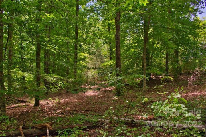0 Midnight Pass 337 active home in Clearwater Creek, Rutherfordton, NC