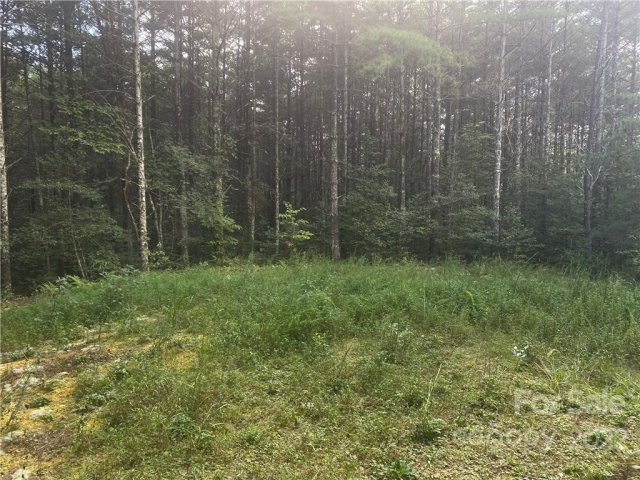 00 Collette Ridge Circle 5 sold home in The Bluffs of Wilson Creek, Lenoir, NC