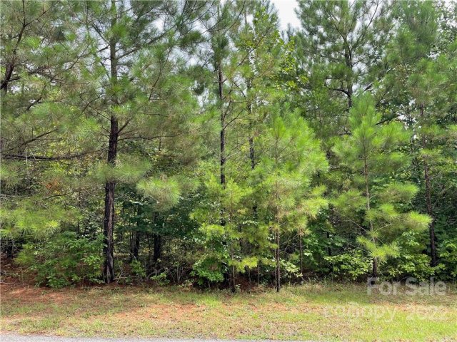 00 Hope Drive 19 sold home in Pleasant View, Rutherfordton, NC