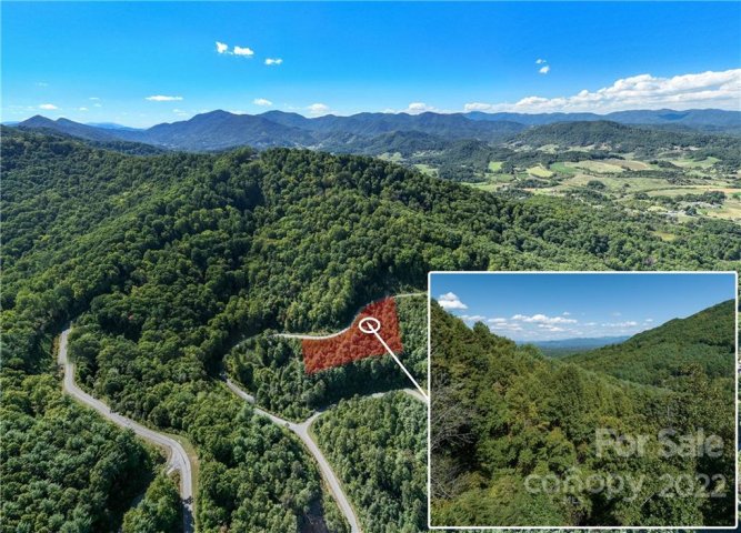 91 Mountain Magnolia Drive #38 sold home in Moores Valley, Leicester, NC