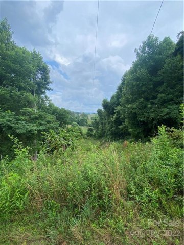 99999 Watsell Drive sold home in Highland Hills, Leicester, NC