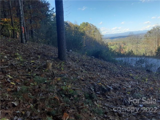36 Carolina Buckthorn Drive 33 sold home in Moores Valley, Leicester, NC