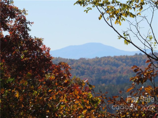 0 Mountain Forest Drive sold home in Cane Creek Mountain, Union Mills, NC