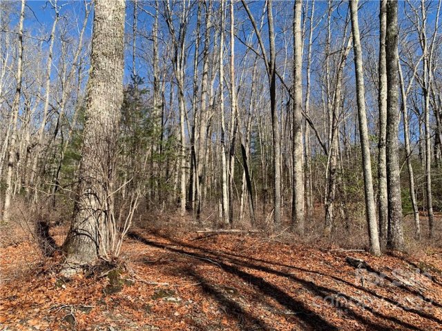 8 Lot Pkg Galax Lane sold home in Sequoyah Woods, Brevard, NC