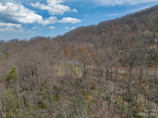 187 Arcadia Falls Way 77 active home in Catawba Falls Preserve, Black Mountain, NC