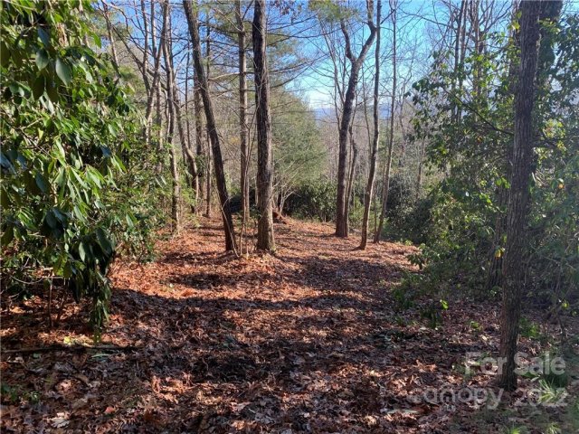 17a Hawkins Hollow Road sold home in The Reserve, Pisgah Forest, NC