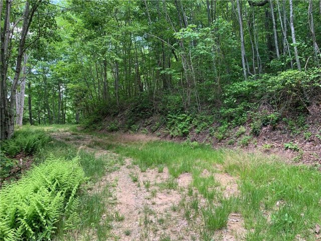 Lot 18 Racoon Cove Road sold home in Brush Creek Properties, Bryson City, NC