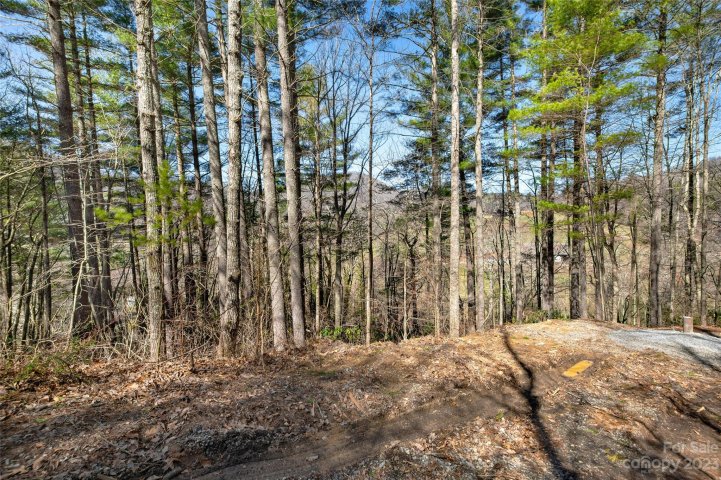 99999 Deer Run Lane 48 sold home in Buffalo Mountain, Asheville, NC