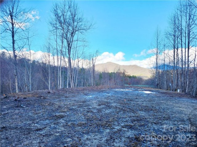 138 Fairlane Loop Lt 19 sold home in Torwood, Whittier, NC