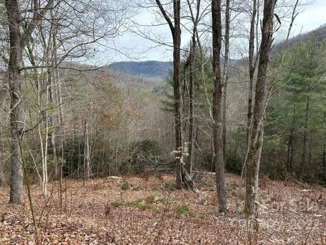 0000 Silverglen Way 34 sold home in Silverglen, Hendersonville, NC