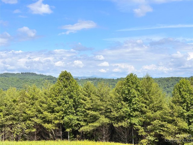661 Whites Lake Boulevard 25R sold home in Whites Lake, Saluda, NC
