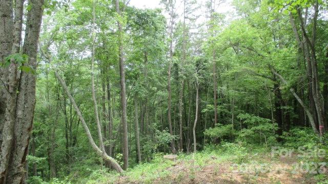 Lot 37 Deeplow Gap None active home in The Settlement at Thomas Divide, Bryson City, NC