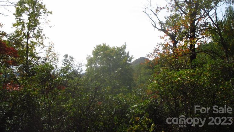 Lot 40 The Knoll None active home in The Settlement at Thomas Divide, Bryson City, NC