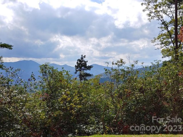 Lot 42 The Knoll None active home in The Settlement at Thomas Divide, Bryson City, NC