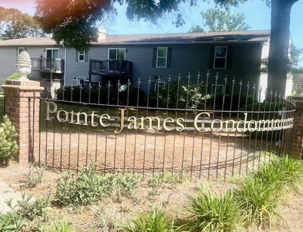 Homes in Point James, Charleston